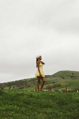 Dixie Bustier Mini Dress