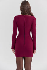 Berry Bodycon Mini Dress