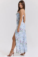 Blue Floral Print Mesh Maxi Dress