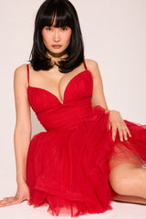 Holly Red Tulle Mini Dress