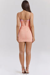 Sorbet Lace Trimmed Mini Dress
