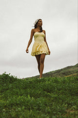 Dixie Bustier Mini Dress