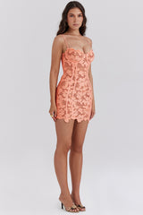 Sorbet Embroidered Floral Lace Mini Dress